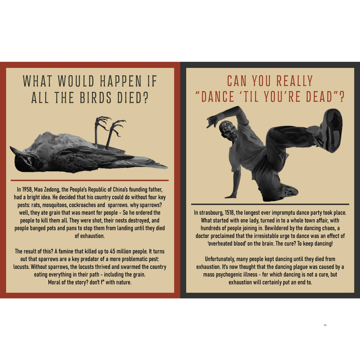 Curious Man Thoughts - Funny Gift Book - Novelty Men's Gift