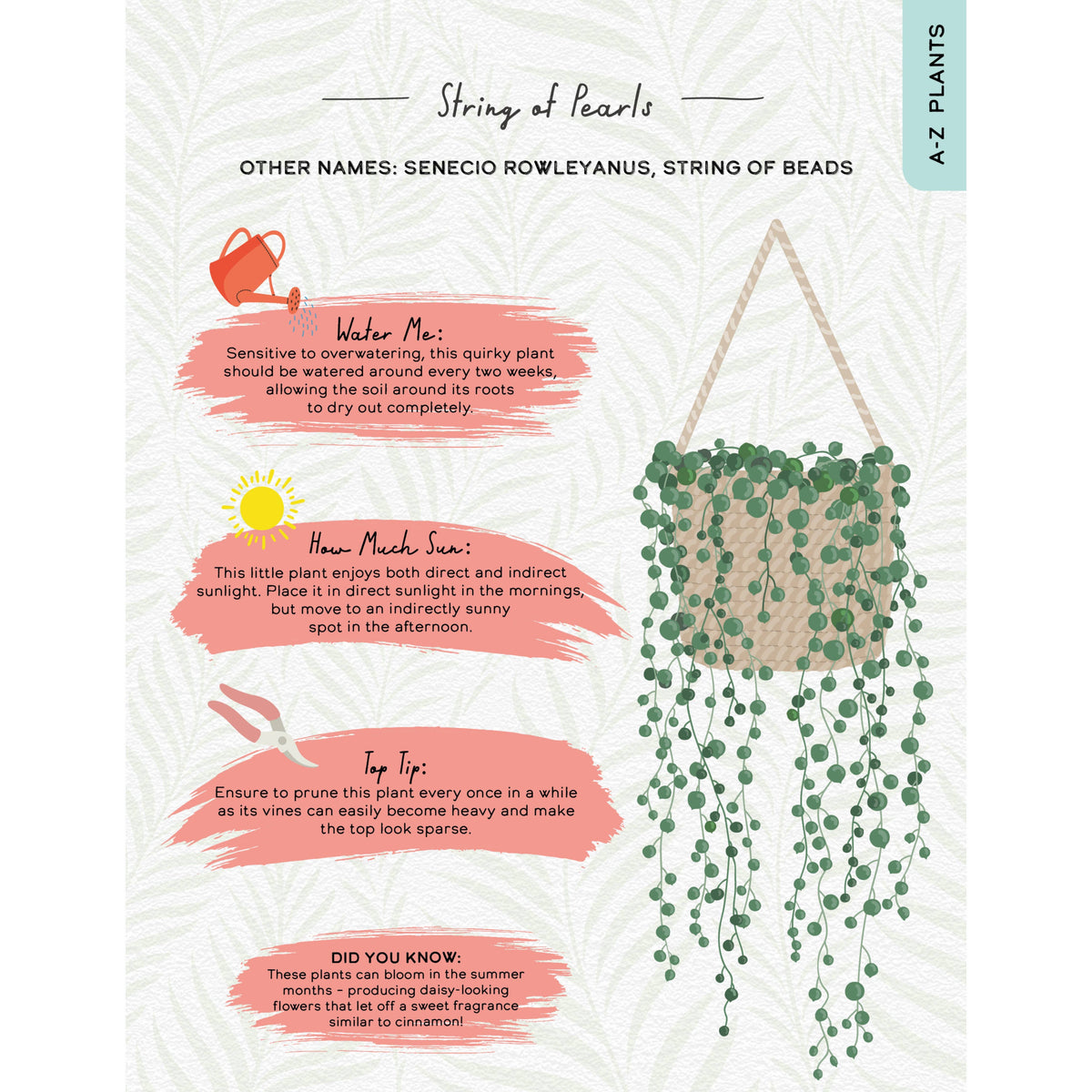 Please Don't Die - House Plants Guide Gift Book
