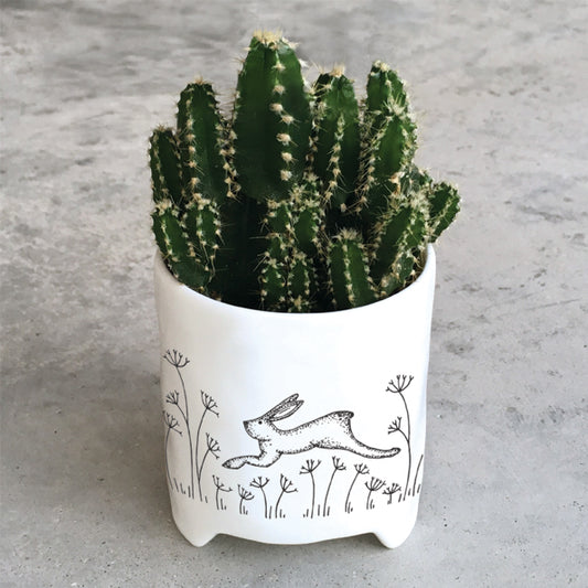 Hare Porcelain Planter
