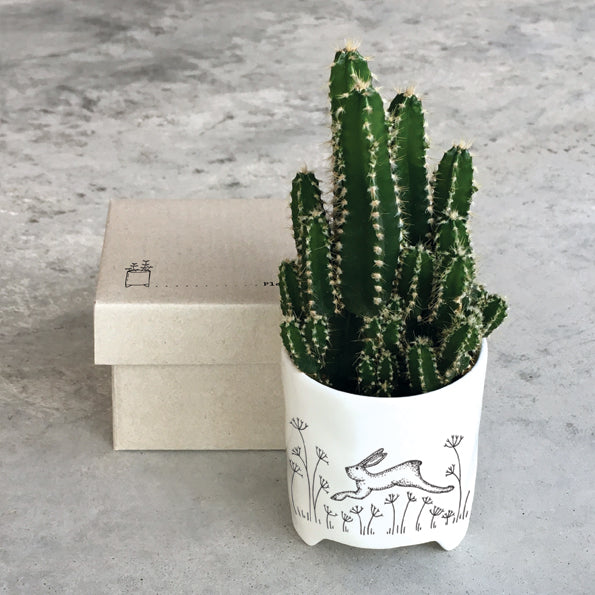 Hare Porcelain Planter