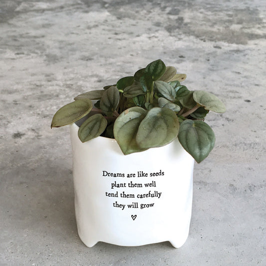 Dreams Are Like Seeds Porcelain Planter