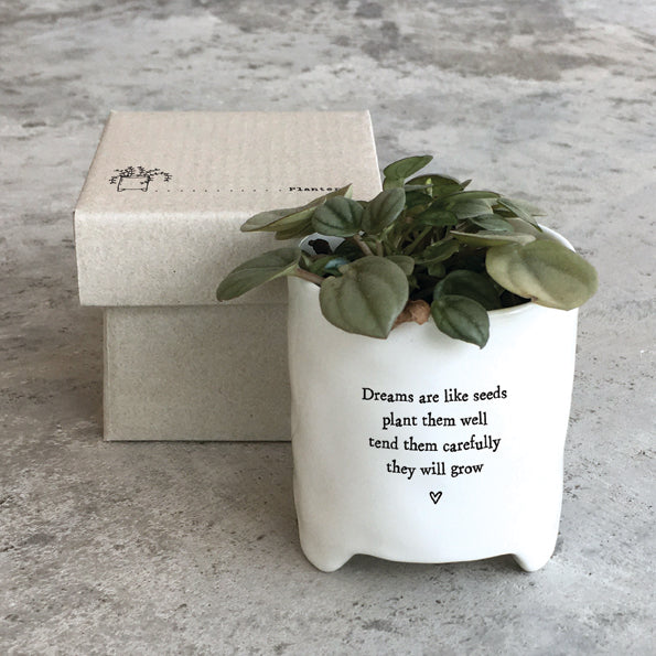 Dreams Are Like Seeds Porcelain Planter