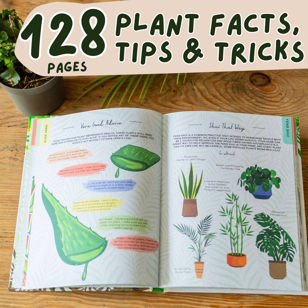 Please Don't Die - House Plants Guide Gift Book