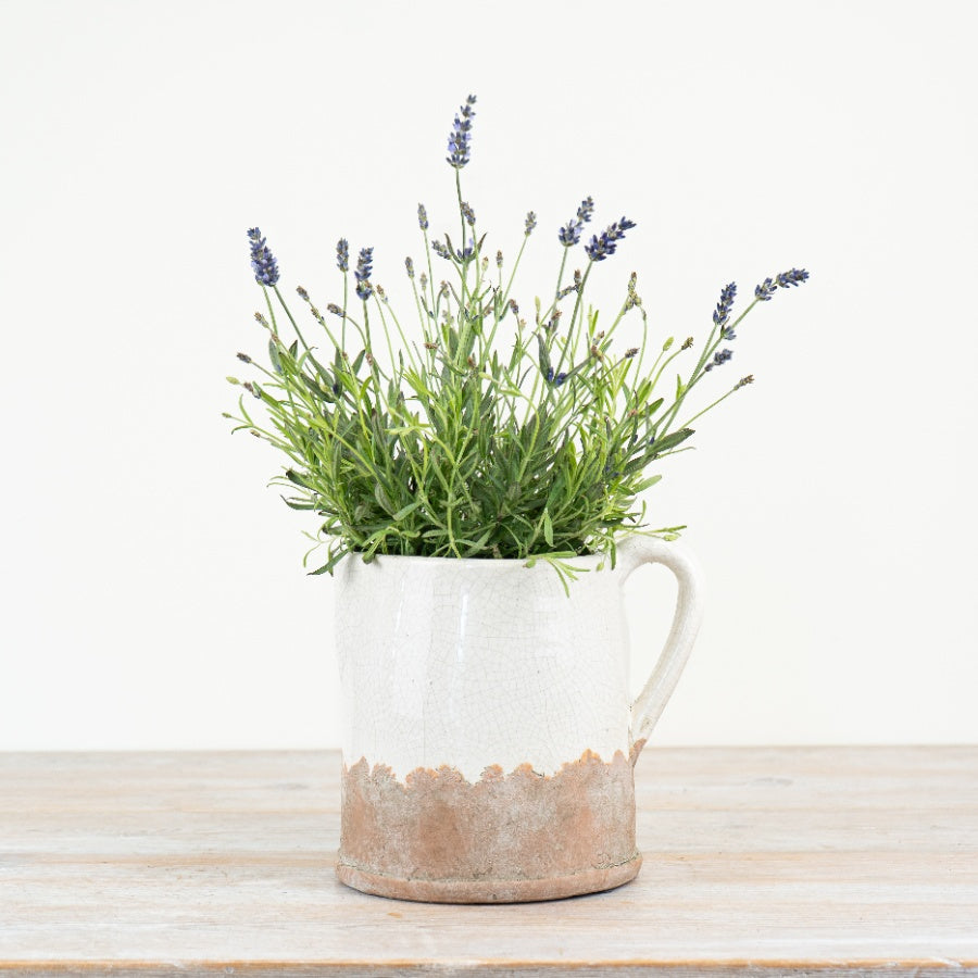 Ido Cream Jug, 22cm