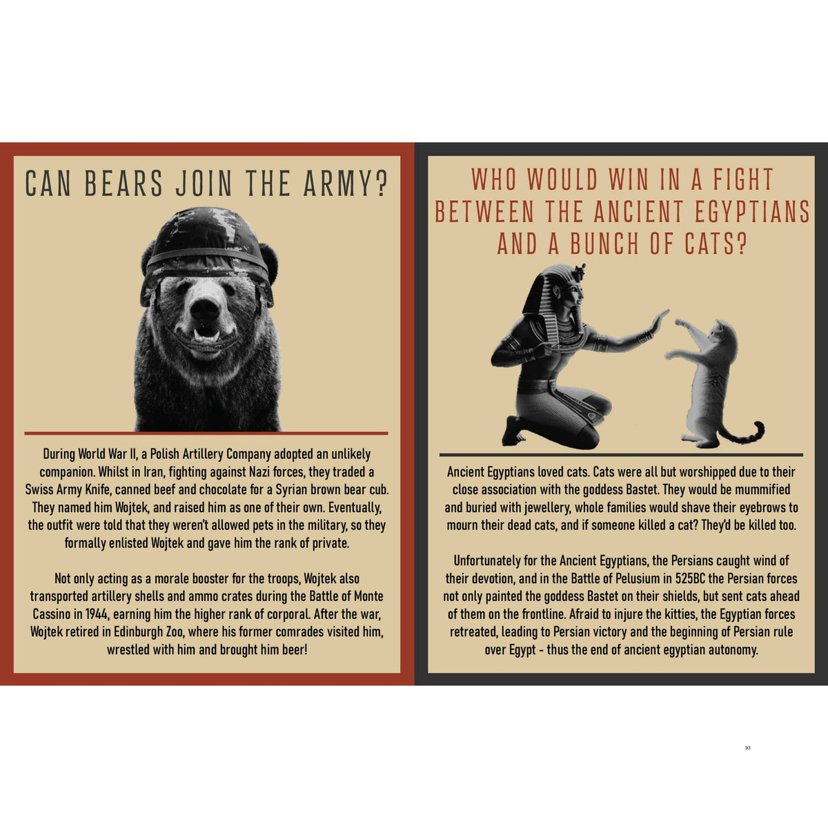 Curious Man Thoughts - Funny Gift Book - Novelty Men's Gift