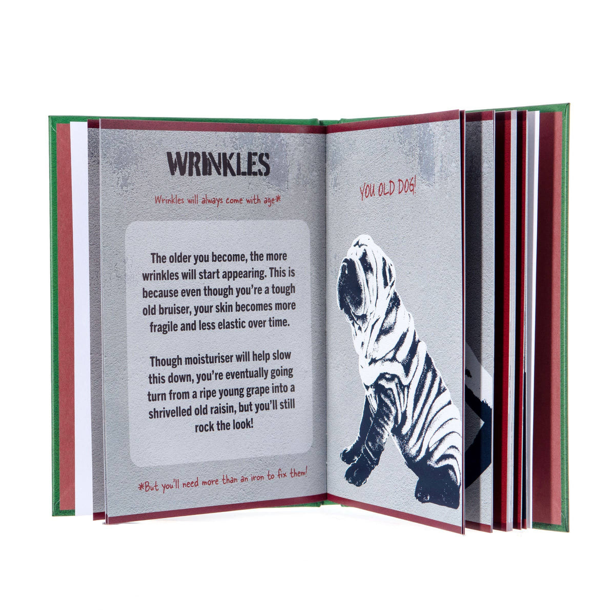 A Mans Guide To Getting Old Book - Funny Retirement Gift